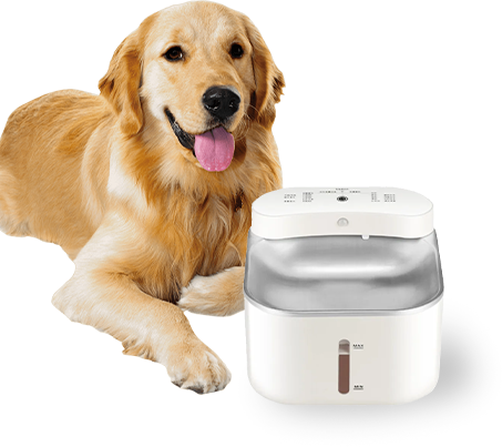 Ningbo Jia Chong International Trade Co., Ltd.