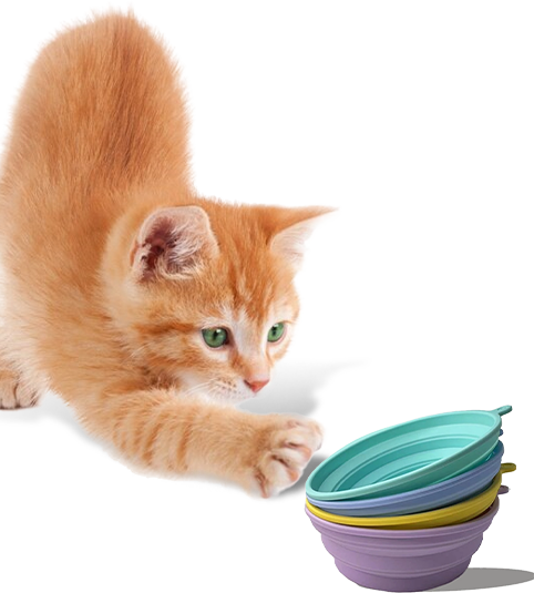 Ningbo Jia Chong International Trade Co., Ltd.