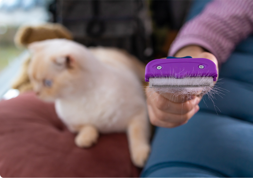 Ningbo Jia Chong International Trade Co., Ltd.